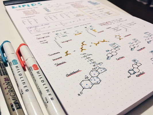 Digital vs. Analog Notes: Boost Learning with Pen Plotters